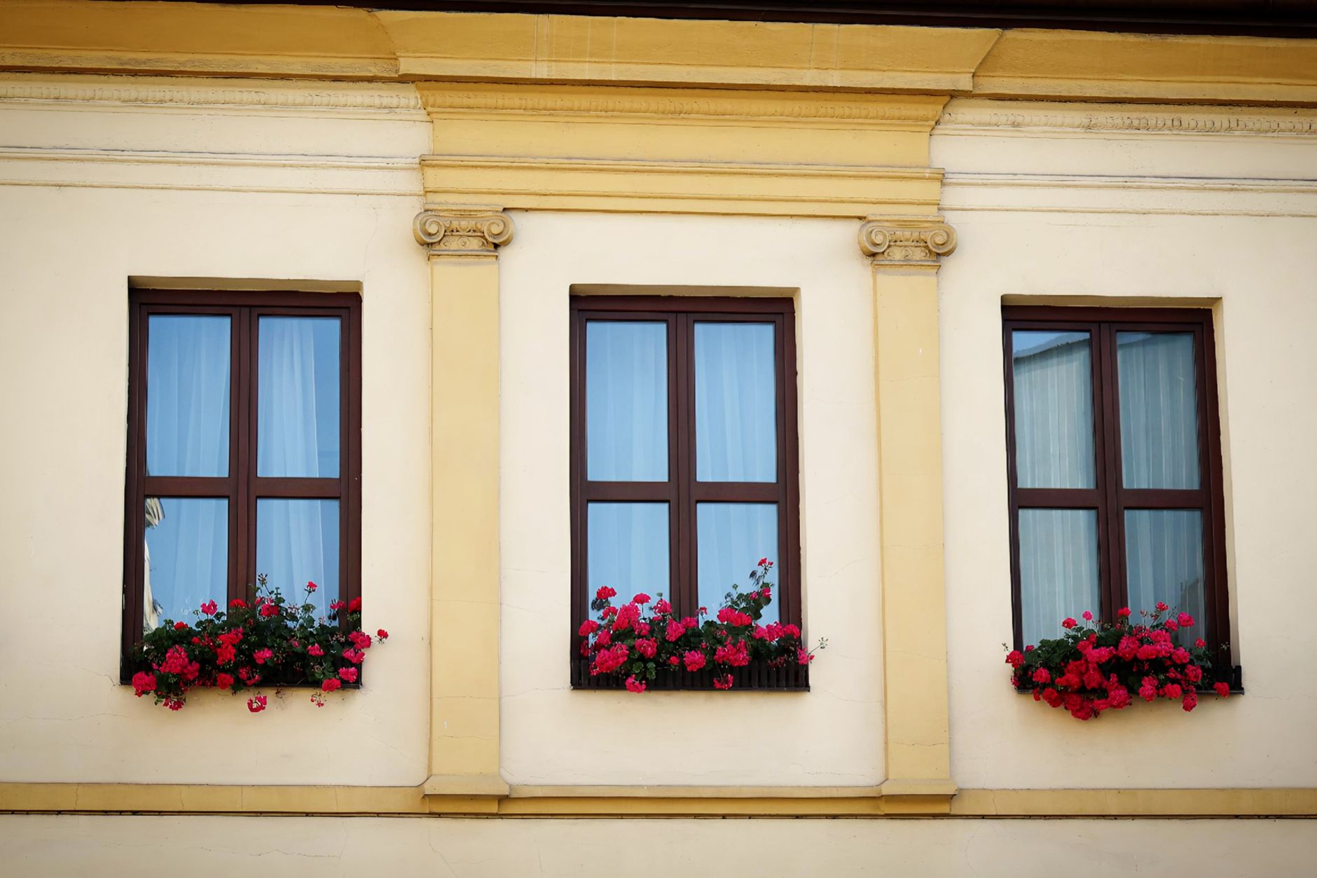 Elegant building façade featuring three windows with vibrant flower boxes in Riverside, CA